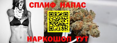 гидра Бузулук