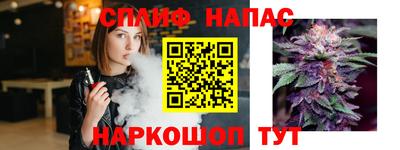 прущие крисы Будённовск
